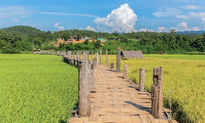 sutong Pe Bridge