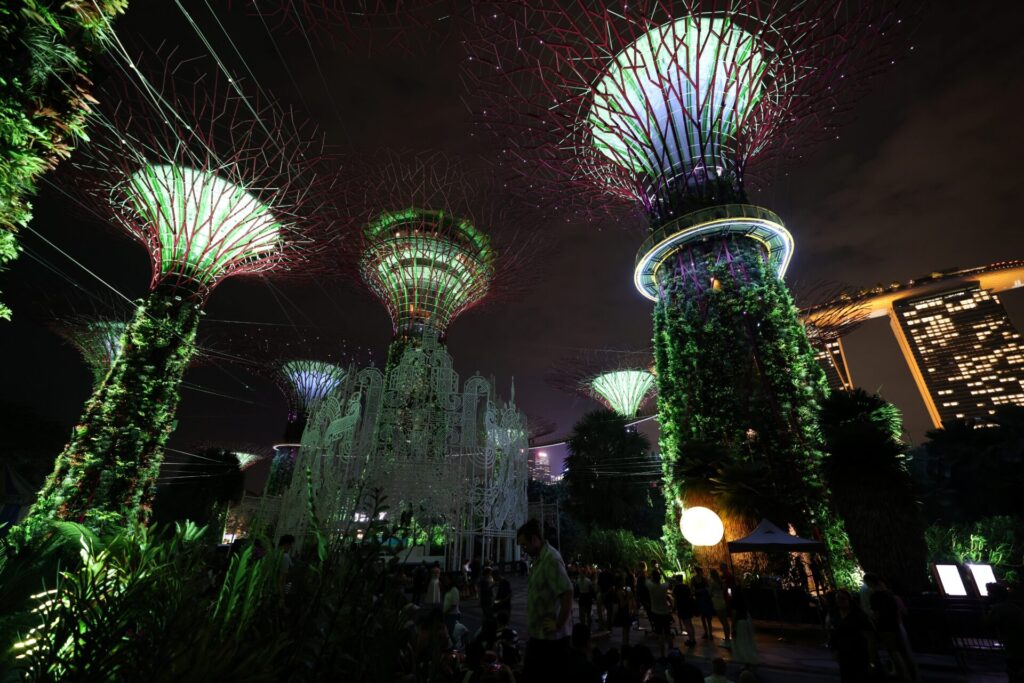 ¨Supertree Grove at Gardens by the Bay illuminated during the nighttime light show, with glowing tree-like structures against the dark sky.¨